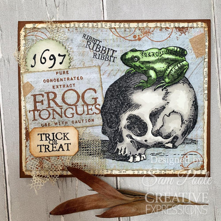 Creative Expressions 6"X8" Clear Stamp Set: Witches Brew, By Sam Poole (5A002B5W1GDNG)