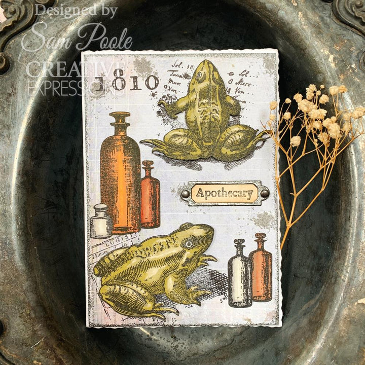 Creative Expressions 6"X8" Clear Stamp Set: Halloween Frogs, By Sam Poole (5A002B5L1GDN8)