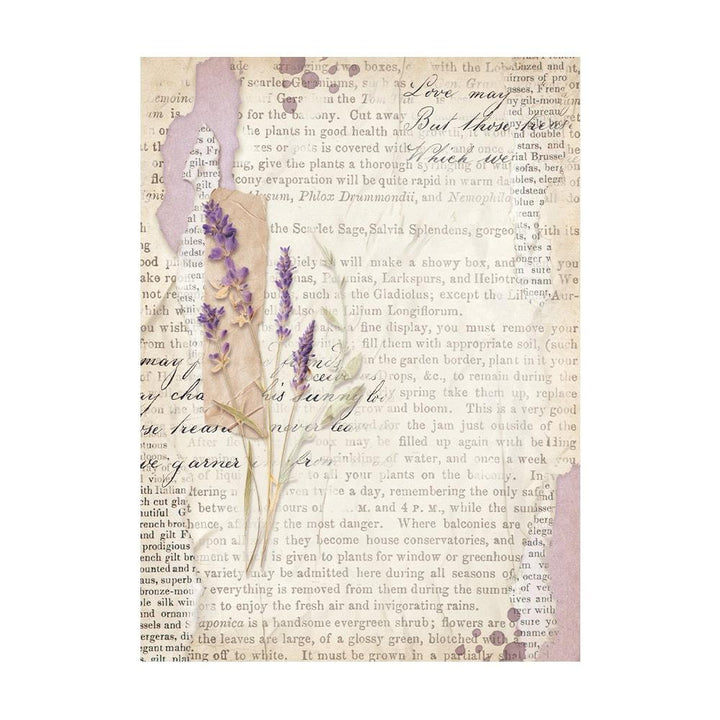 Stamperia Lavender A6 Assorted Rice Paper Backgrounds, 8/Pkg (5A0027GK1G9SJ)