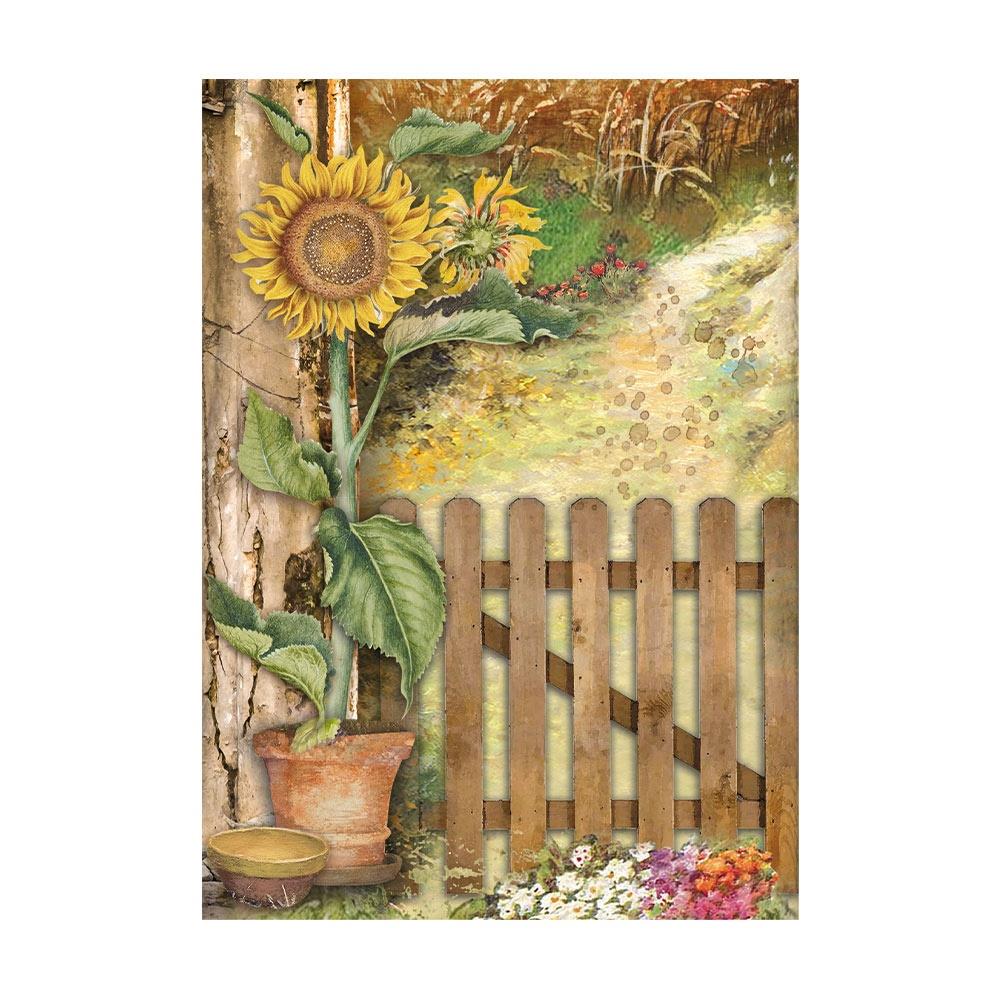Stamperia Sunflower Art A6 Assorted Rice Paper: Backgrounds, 8/Pkg (FSAK6004)