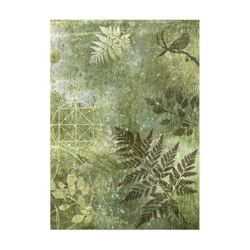 Stamperia Forest A6 Assorted Rice Paper Backgrounds, 8/Pkg (5A002CGN1GG13)