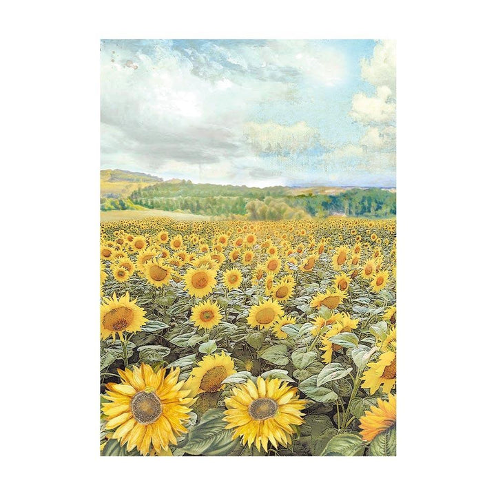 Stamperia Sunflower Art A6 Assorted Rice Paper: Backgrounds, 8/Pkg (FSAK6004)