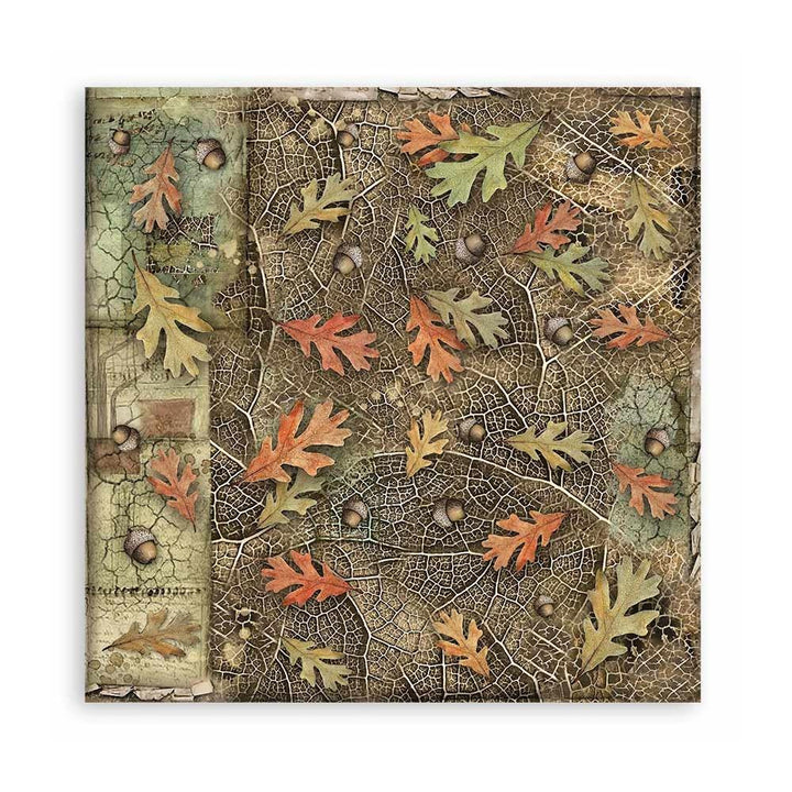 Stamperia Forest 12"X12" Single-Sided Paper Pad, 22/Pkg (5A002CGJ1GG07)