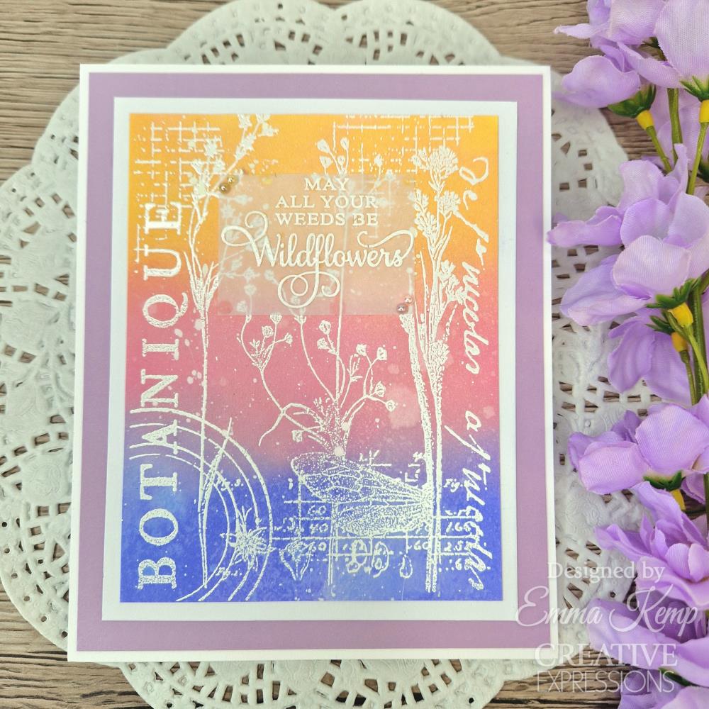 Creative Expressions 6"X4" Clear Stamp Set: Botanical Collage, By Sam Poole (CEC1030)