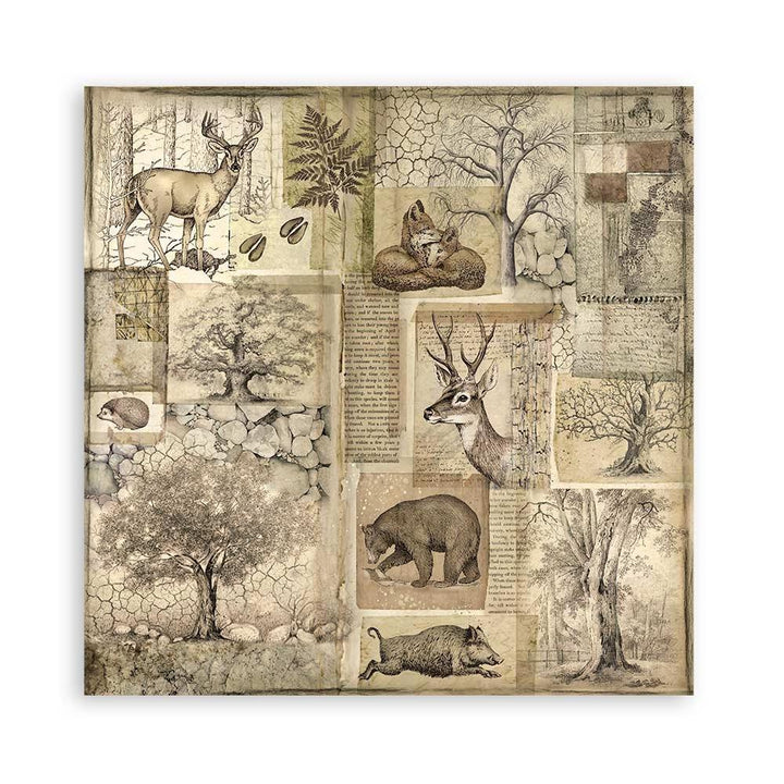 Stamperia Forest 12"X12" Single-Sided Paper Pad, 22/Pkg (5A002CGJ1GG07)