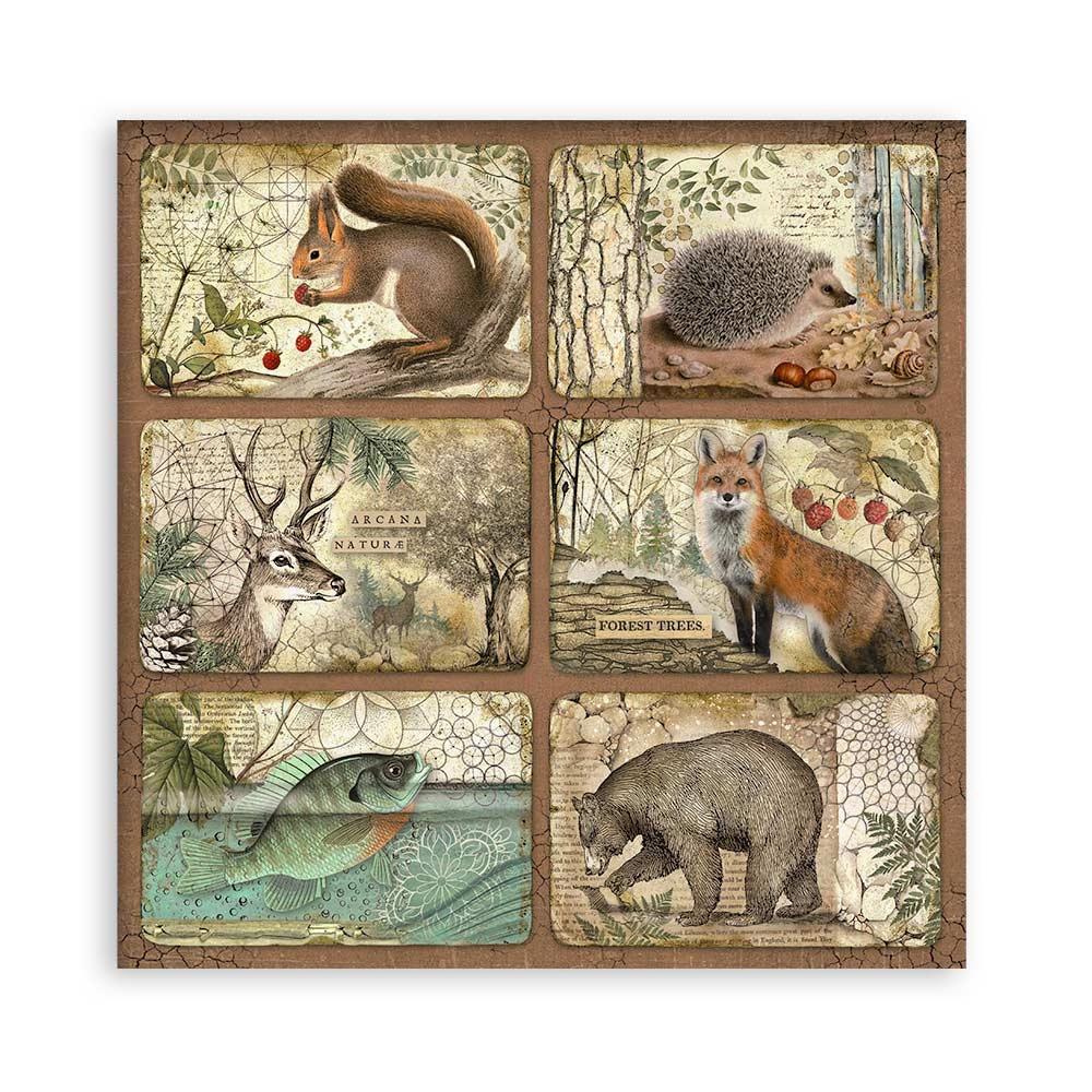 Stamperia Forest 12"X12" Single-Sided Paper Pad, 22/Pkg (5A002CGJ1GG07)