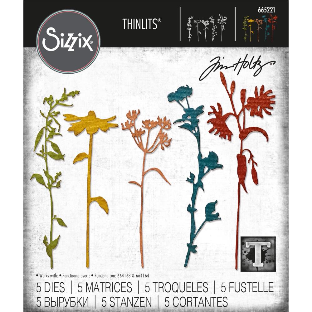 Sizzix Thinlits Dies: Wildflower Stems #3, 5/Pkg, By Tim Holtz (665221)