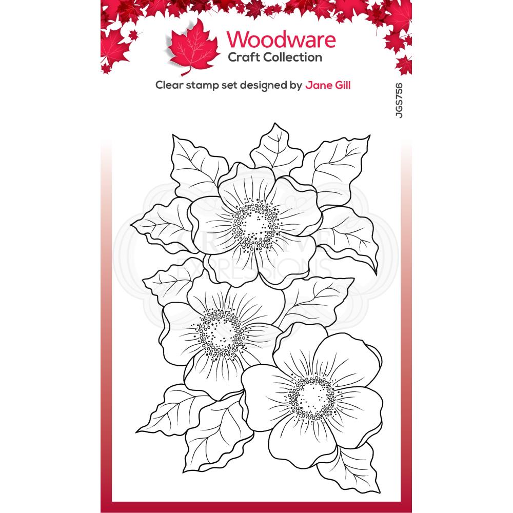 Woodware 4"x6" Clear Stamps: Scented Blooms (JGS756)
