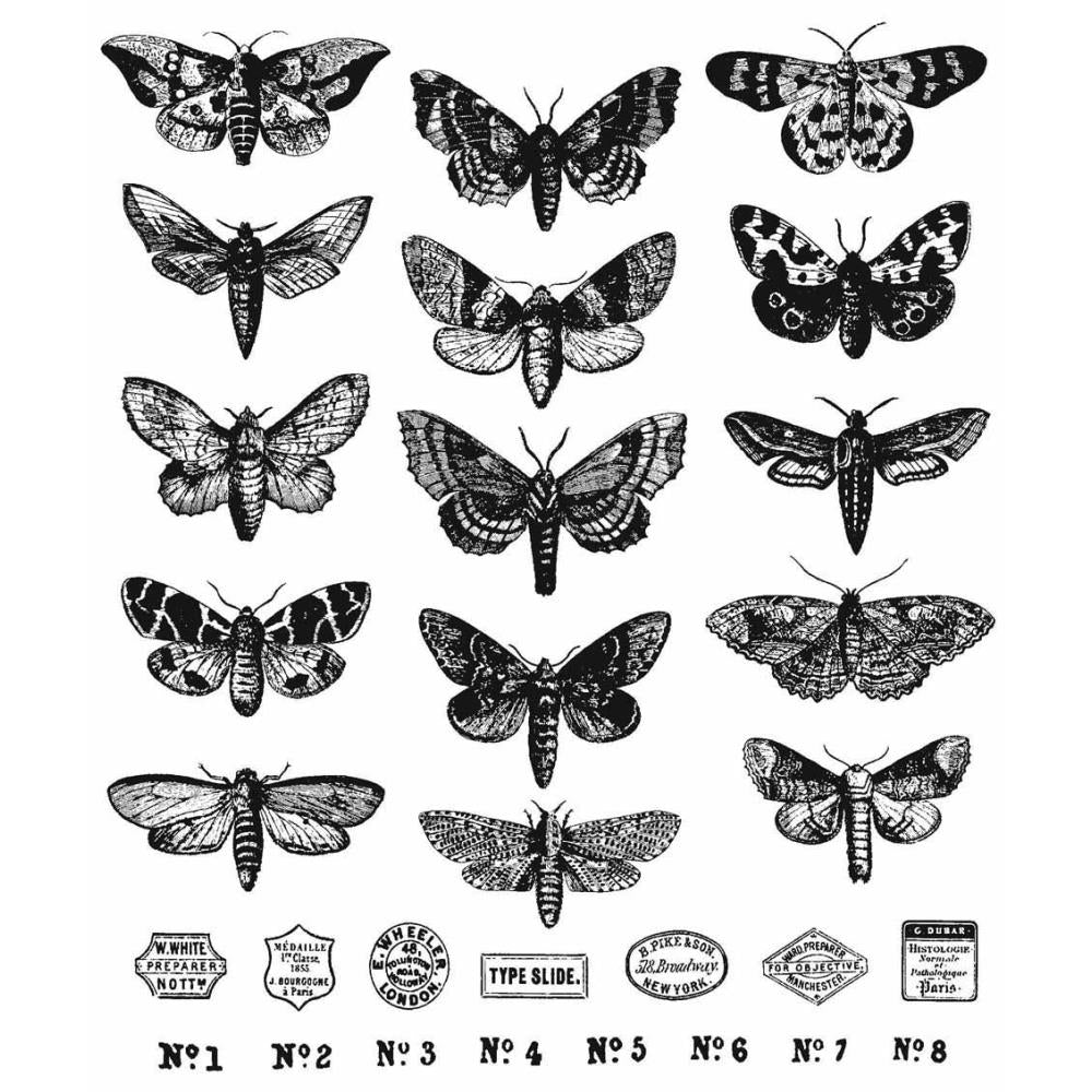 Tim Holtz 7"X8.5" Cling Stamps: Moth Study, by Stampers Anonymous (CMS436)