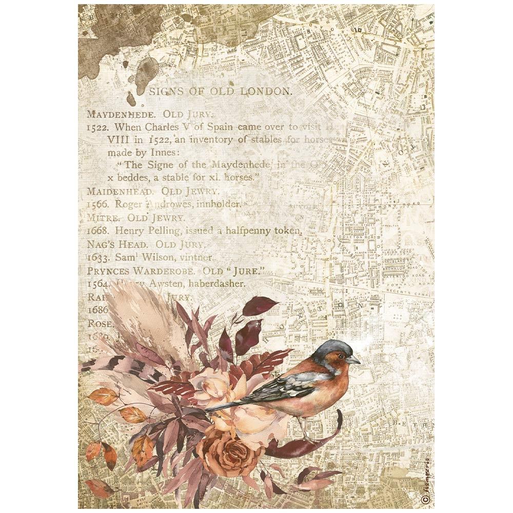 Stamperia Our Way A4 Rice Paper Sheet: Bird (DFSA4713)