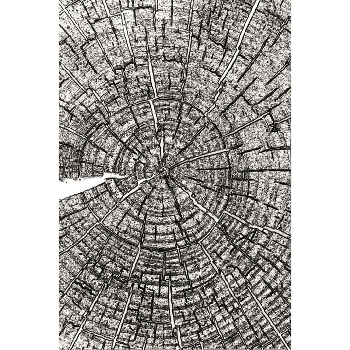 Tim Holtz 3D Texture Fades Embossing Folder: Tree Rings, by Sizzix (666049)