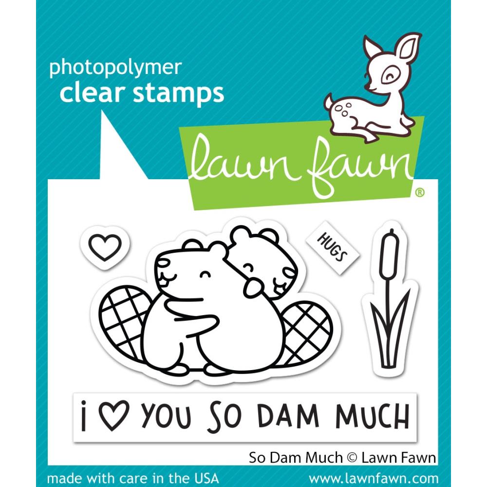 Lawn Fawn 3"X2" Clear Stamps: So Dam Much
(LF3013)