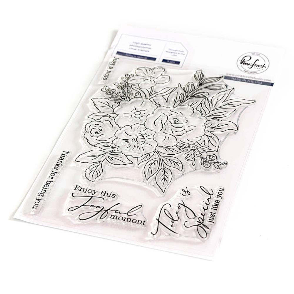 Pinkfresh Studio 4"x6" Clear Stamp Set: Today Is Special (PF192623)