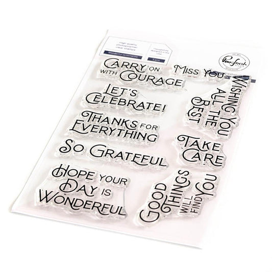 Pinkfresh Studio 4"x6" Clear Stamp Set: Wonderful Sentiments (PF192923)