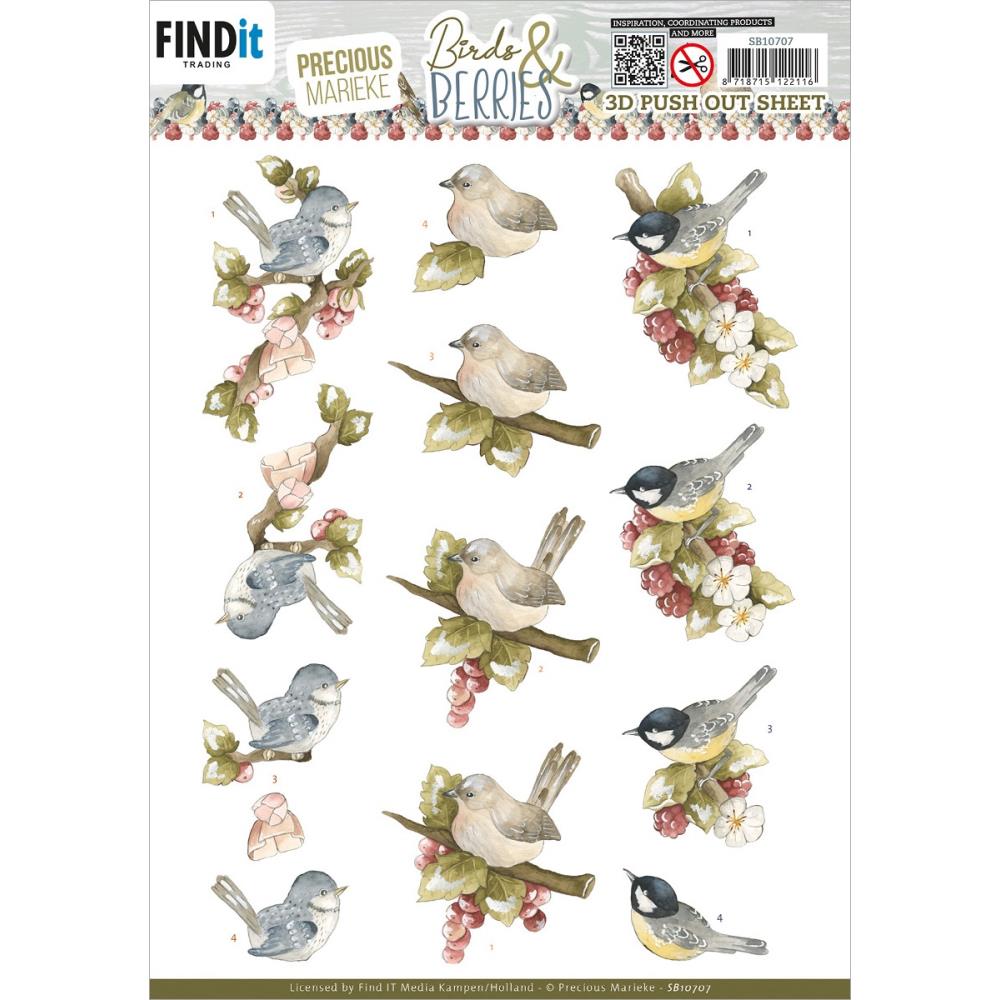 Find It Trading Birds & Berries Punchout Sheet: Raspberries (SB10707)
