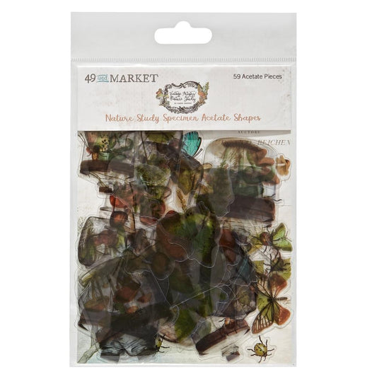 49 and Market Vintage Artistry Nature Study Acetate Shapes: Specimen (NS23220)