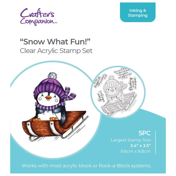 Crafter's Companion 4"X4" Acrylic Clear Stamp: Snow What Fun! (CSTCASWF)