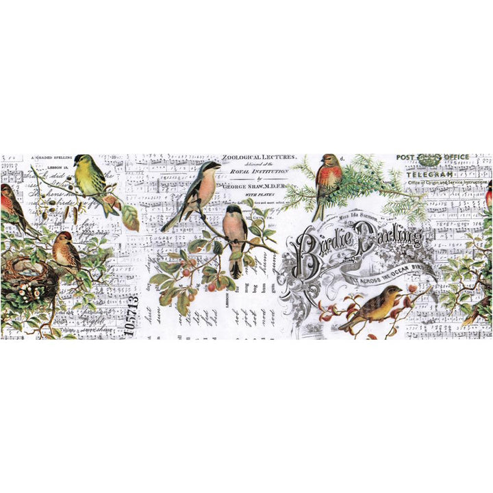 Tim Holtz Idea-Ology 6"X6yds Collage Paper: Aviary (TH93706)