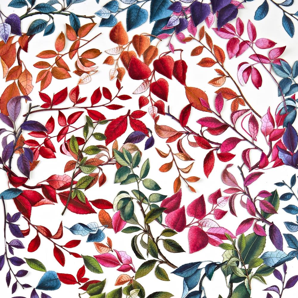 49 and Market Spectrum Gardenia Laser Cut Outs: Leaves (SG23657)