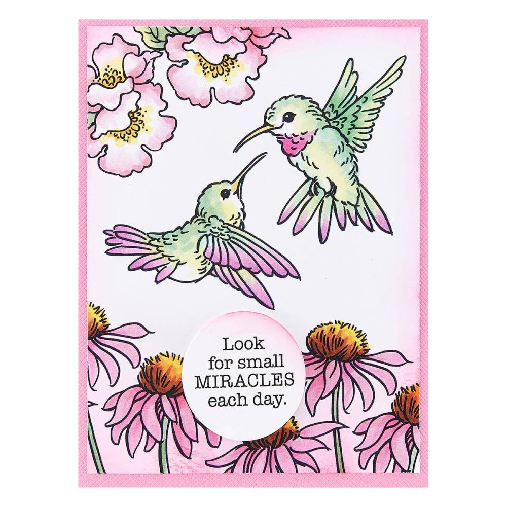 Stampendous Clear Stamps Hummingbird Day