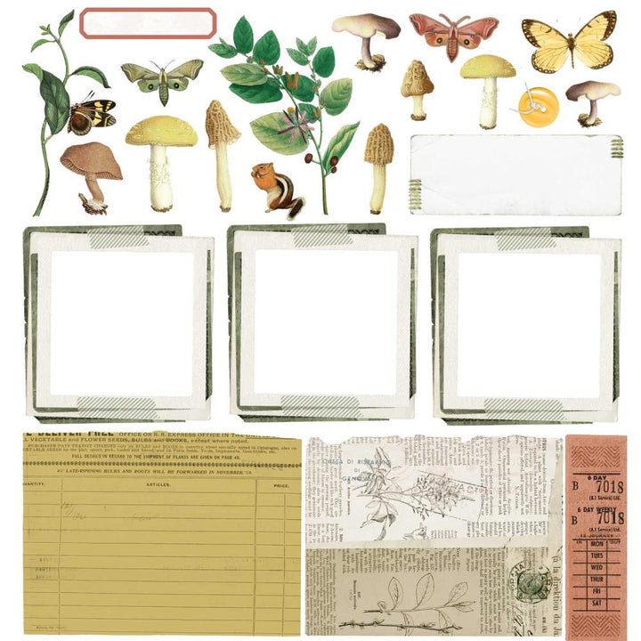 49 and Market Curators Meadow 12"x12" Collection Pack (CM36752)