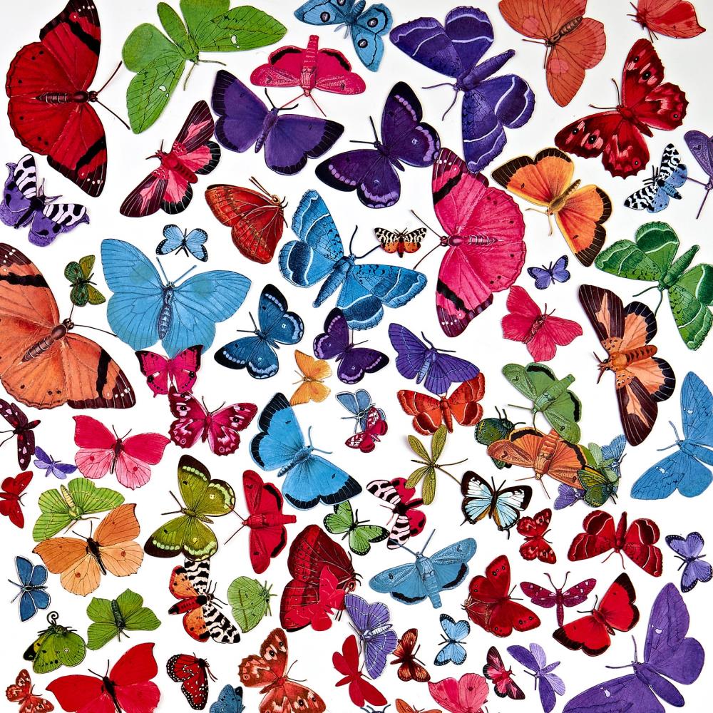 49 and Market Spectrum Gardenia Laser Cut Outs: Butterfly (SG23640)
