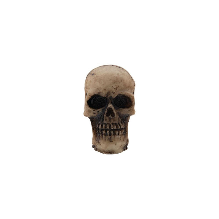 Tim Holtz Idea-Ology Resin Skulls (TH94270)