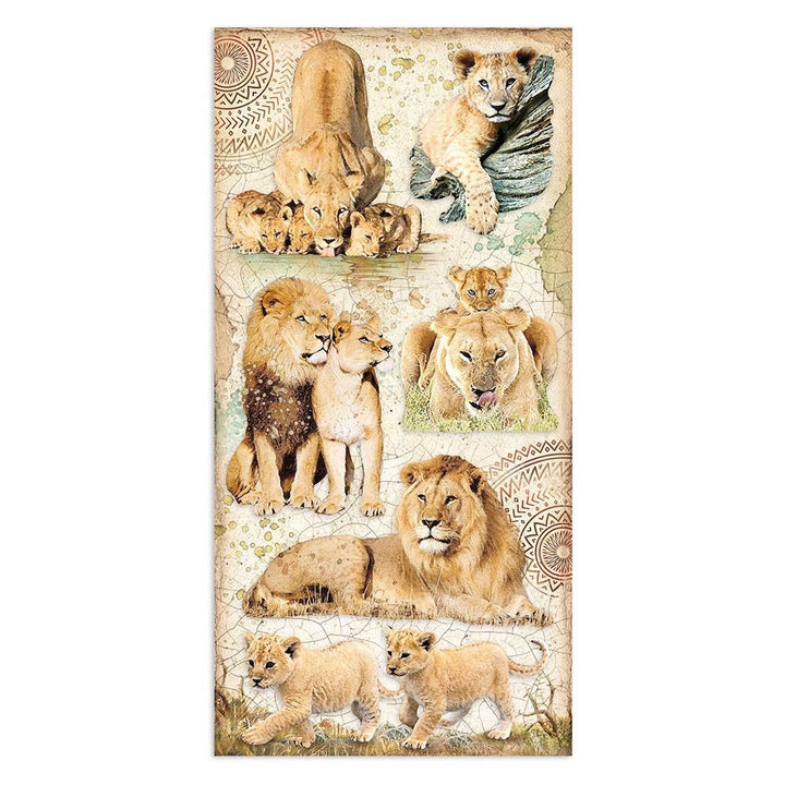Stamperia Savana 6"x12" Collectables Double Sided Paper (SBBV15)