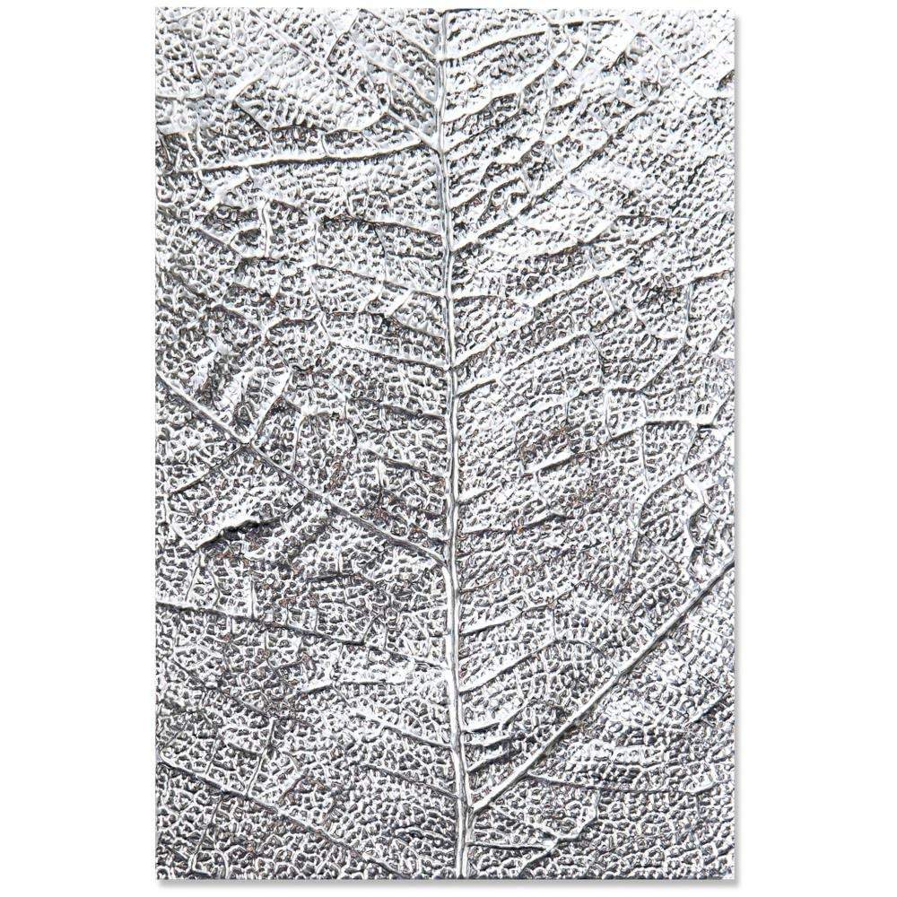 Sizzix 3D Texture Fades Embossing Folder: Leaf Veins, by Tim Holtz (664488)-Only One Life Creations