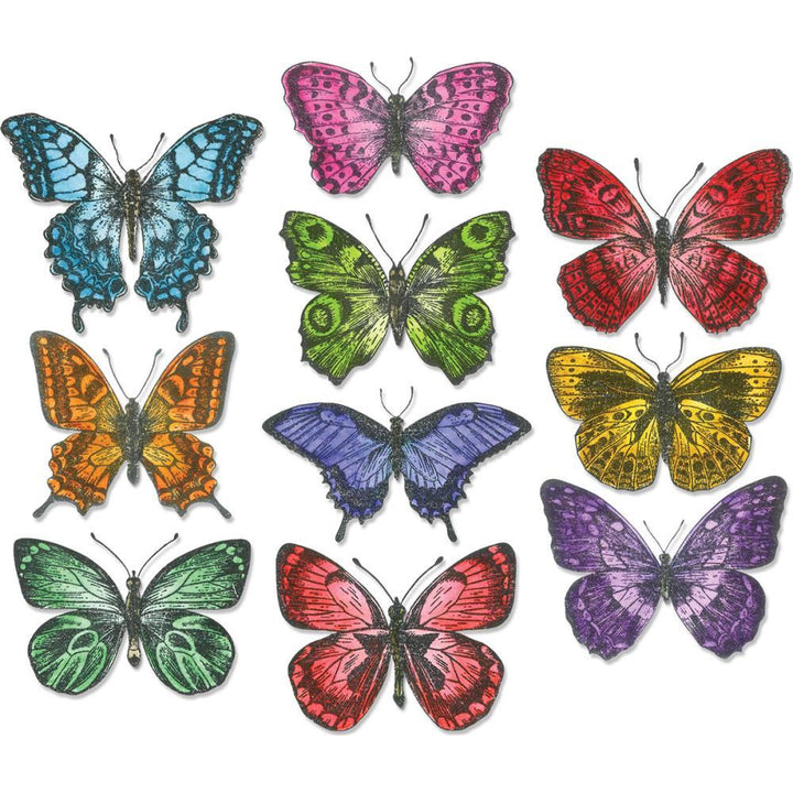 Sizzix Framelits Dies: Flutter By by Tim Holtz (662269)-Only One Life Creations
