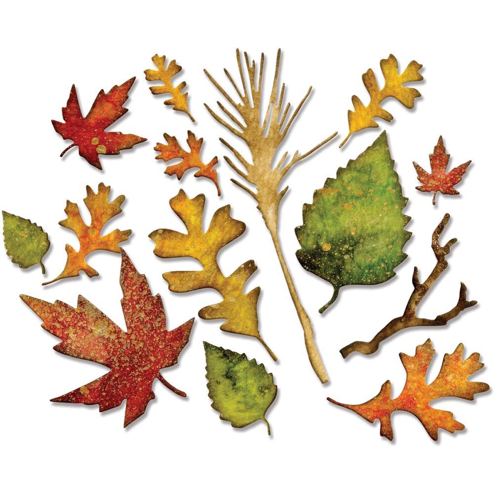 Sizzix Thinlits Dies: Fall Foliage by Tim Holtz (660955)-Only One Life Creations