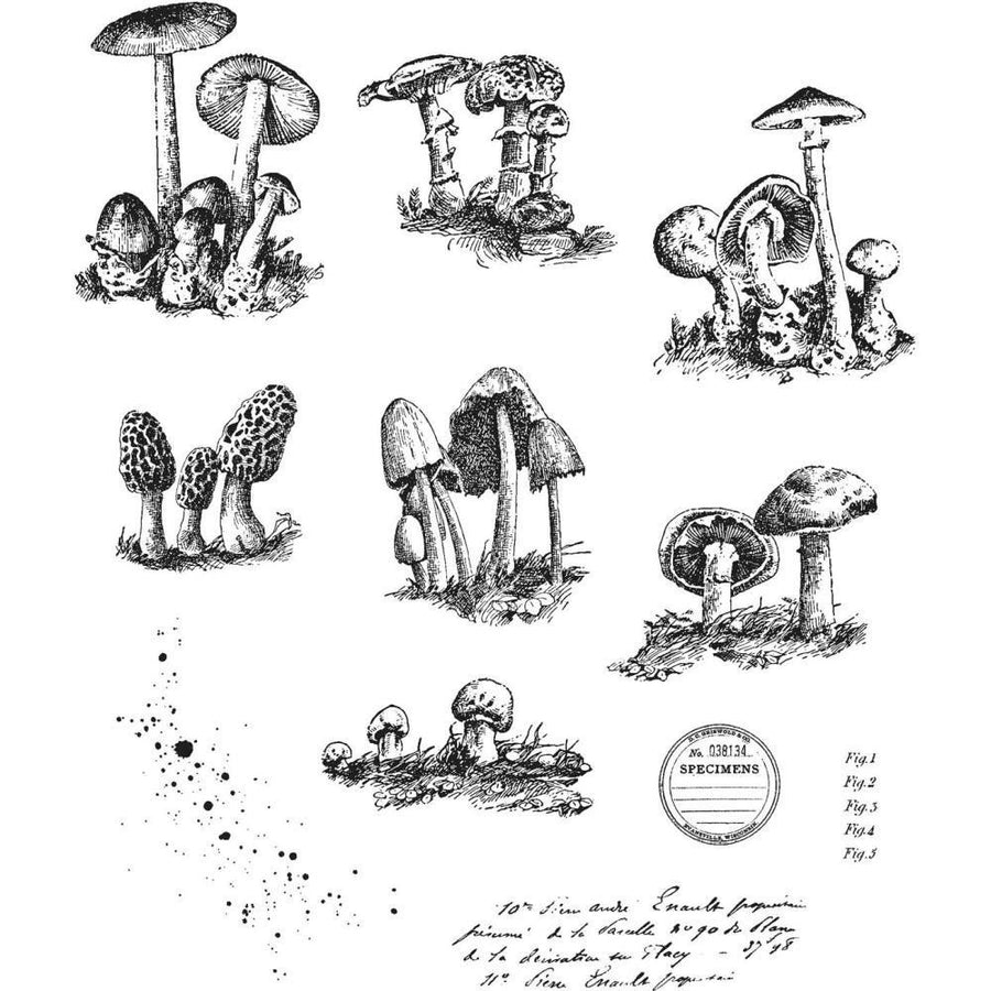 Tim Holtz Cling Stamp Set: Tiny Toadstools, by Stampers Anonymous (CMS377)-Only One Life Creations