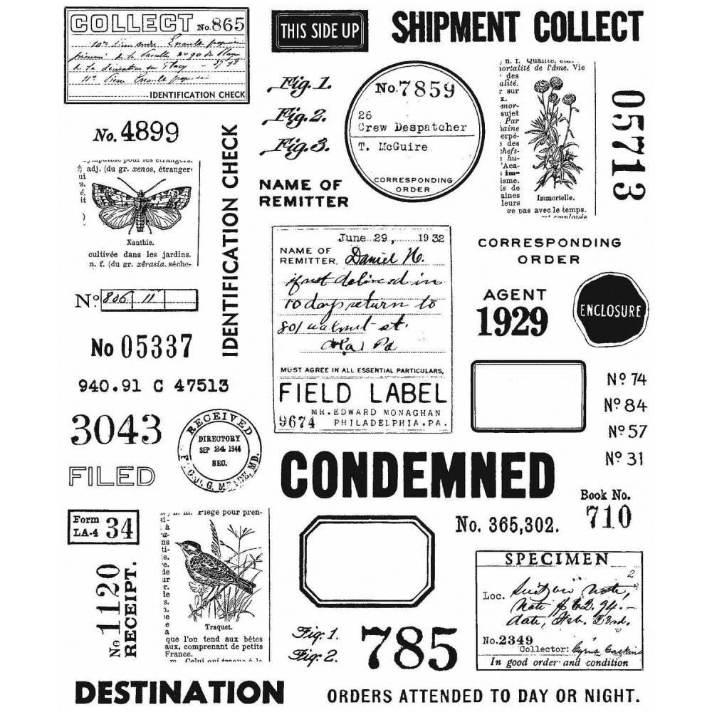 Tim Holtz Cling Stamps 7"x8.5": Field Notes (CMS396)-Only One Life Creations