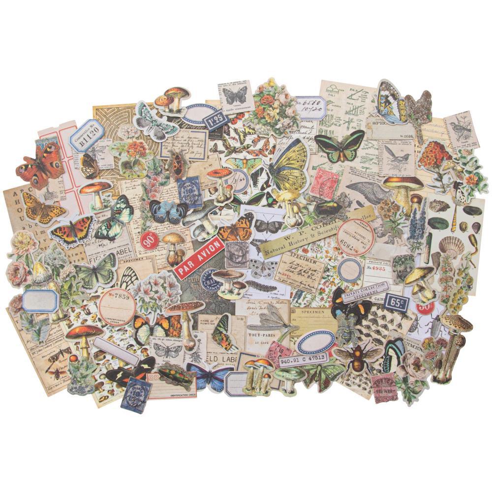 Tim Holtz Idea-Ology Ephemera Pack: Field Notes Snippets (TH94049)-Only One Life Creations