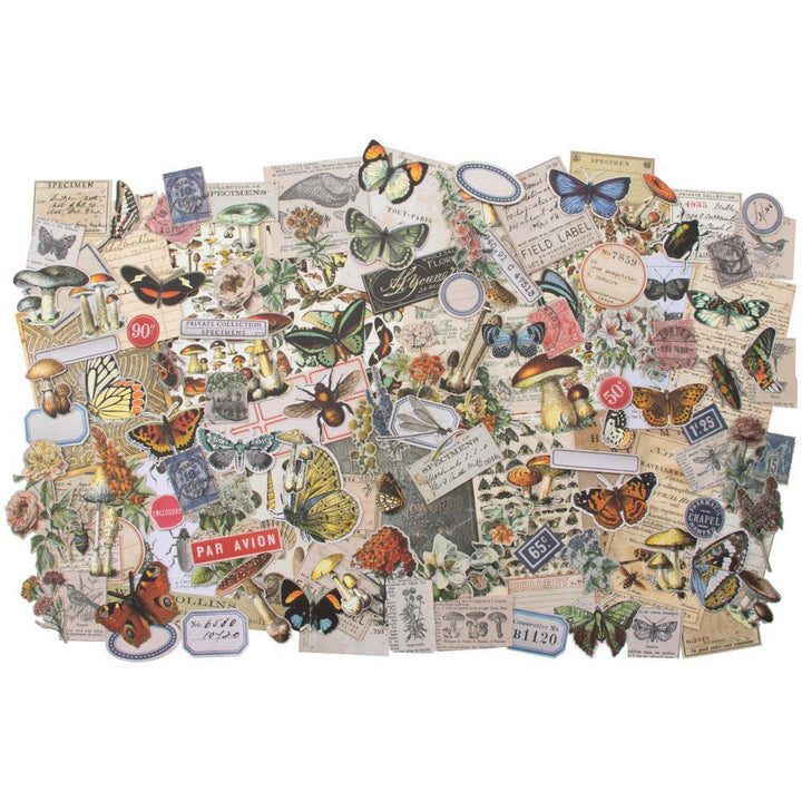 Tim Holtz Idea-Ology Ephemera Pack: Field Notes (TH94051)-Only One Life Creations